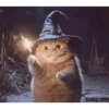 Wizard Cat 7