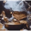 Wizard Cat 14