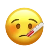 Emoji iphone 15