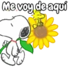 Snoopy 🐾🦴🏠🐾 7