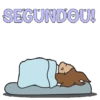 🚀 Boa Segunda-Feira! 8