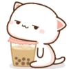 Mochi Peach cat 9 20