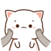 Mochi Peach cat 9 21