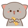 Mochi Peach cat 9 25