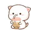 Mochi CAT  6