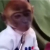 🎵 TIKTOKeando 29🎵 5
