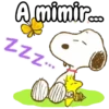 Snoopy 🐾🦴🏠🐾 11