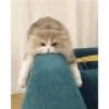 Kucing 12