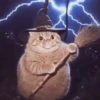 Gato mago🎇 6
