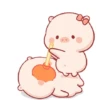 PIG BABYYYY CUTE 13