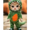 Michi gatito baile bailando🎵🐱🎵 19