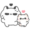 Cute cat 13