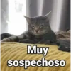 Muy sospechoso