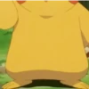 POKÉMON 26