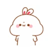 RABBITTTT  11