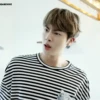 BTS 17