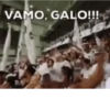 🐓 Atlético Mineiro, uai  20