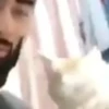 🌈🐈Reaccion Gatos Pal Chat🐈🌈 27