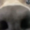 🎵 TIKTOKeando 14🎵 24