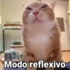 Modo reflexivo