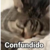 Confundido