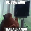 🐒 Pra mandar no trabalho 15