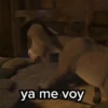 ya me voy