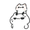 Cute cat 6