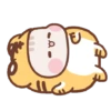 Tupai Imut GIFs 2 8