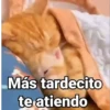 Más tardecito te atiendo