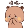 Bubududu 17