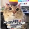 ERU Multa x borrar mensajes