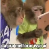🐒 Pra mandar no trabalho 6