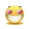 Emoji2 for iphone 13
