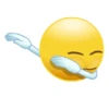 MACAM2 EMOTICON 9