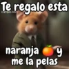 Funny random para contestar 😁💬 12