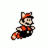 PIXEL Mario's 12