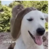 Puxa o CABELO dele(a) 14