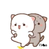 Mochi CAT  7