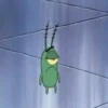 Plankton 13