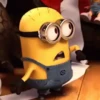 🟡 Minions 🟡 5