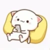 Kiss Cat 29