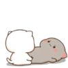 Mochi CAT LOVE 💘 AMOR ❤️ 19