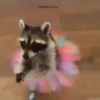 🌈🦝Reaccion Mapaches Pal Chat🦝🌈 15
