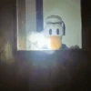 Pato Gifs 🦆 17