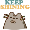 🎄 Christmas Pusheen 12