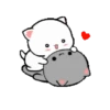 Mochi CAT LOVE 💘 AMOR ❤️ 8