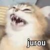 Já vai surtar 🤦🏻‍♂️ 15
