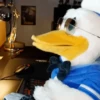 Pato Gifs 🦆 12