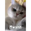 Mwahh